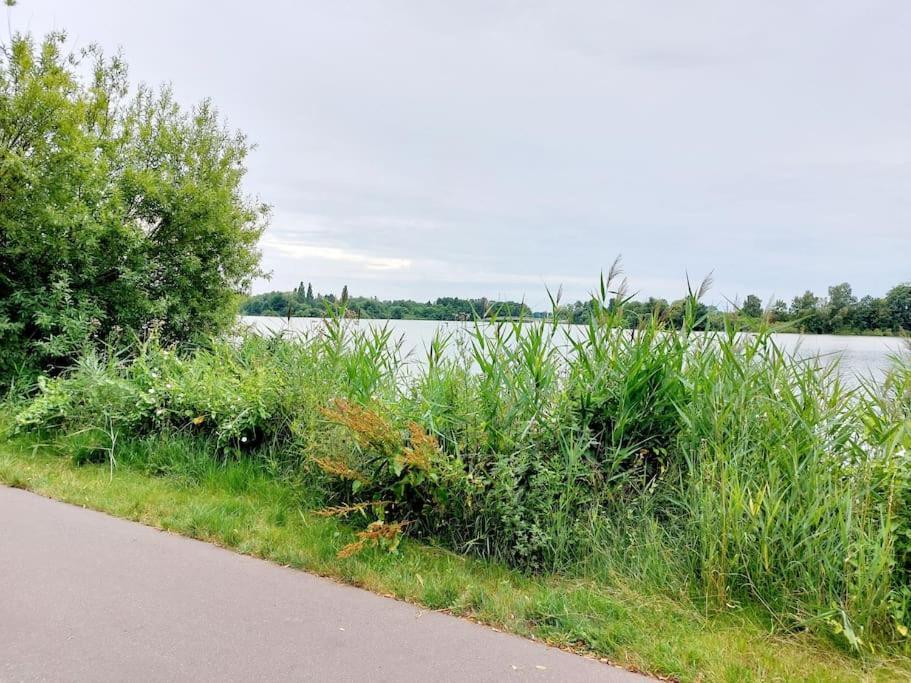 Zentrale Ferienwohnung - Direkt Am See Und Schloss Schwerin  Exterior photo